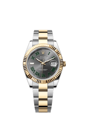 أويستر، ٤١ مم، من فولاذ أويستر ستيل والذهب الأصفر  الرقم المرجعي 126333